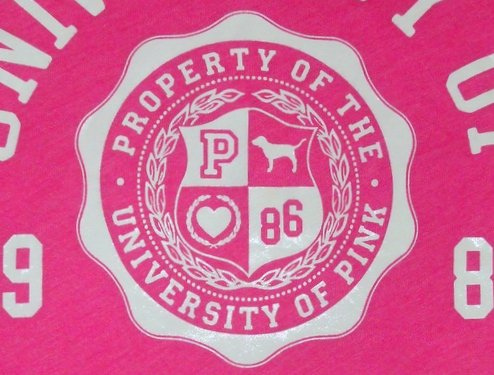 Famu Wins Victoria S Secret Pink S Tweet For The Truck Competition Hbcu Buzz