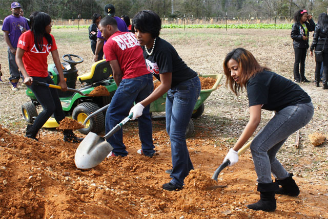 5 Community Service Ideas for Students