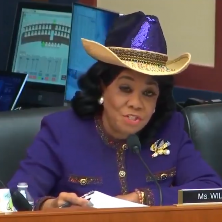 HBCU Alumna, Rep. Frederica Wilson Gives Sec. of Education Betsy DeVos A Piece Of Her Well-Educated Mind