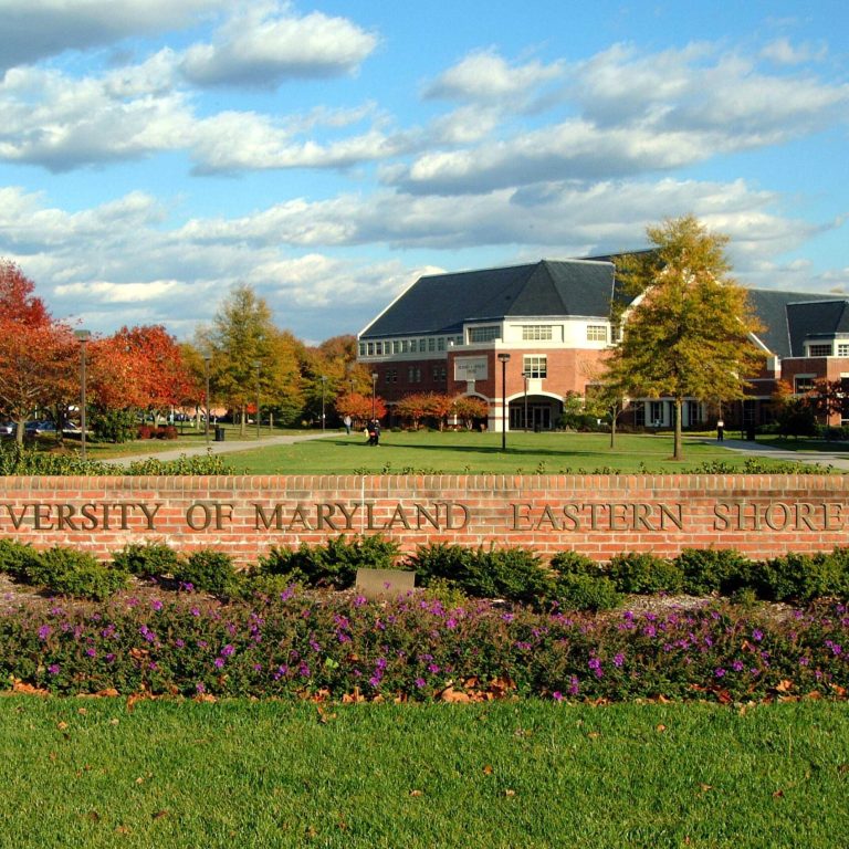 UMES Employees Benefit from Major Technological Upgrades 