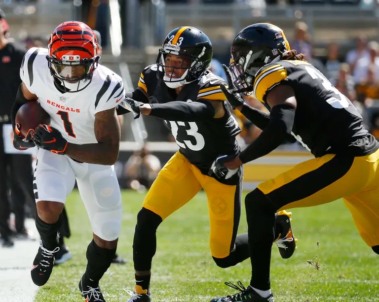 Learn All You’ve Ever Wanted To Know About A Career In The NFL