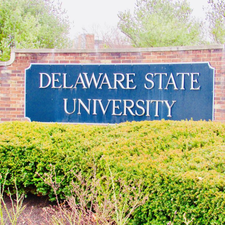 DSU Students Demand Action From University in Anti-Sexual Assault Protest