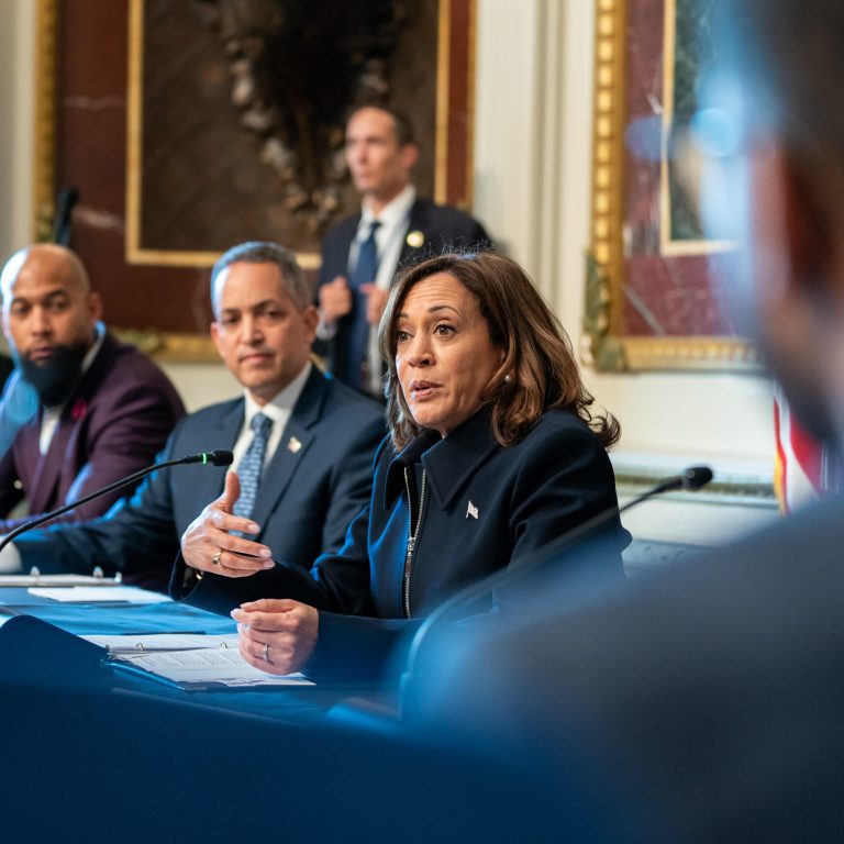 Kamala Harris Speaks With Young Men of Color Entrepreneurs At The White House