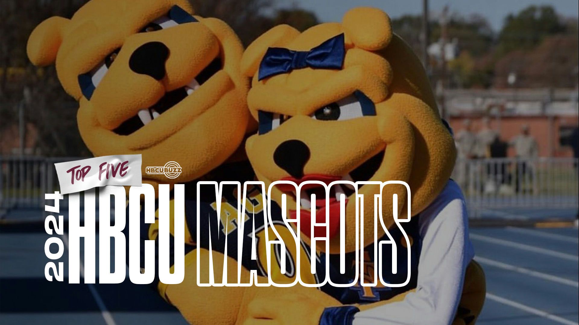 Top HBCU Mascots 2024 - HBCU Buzz