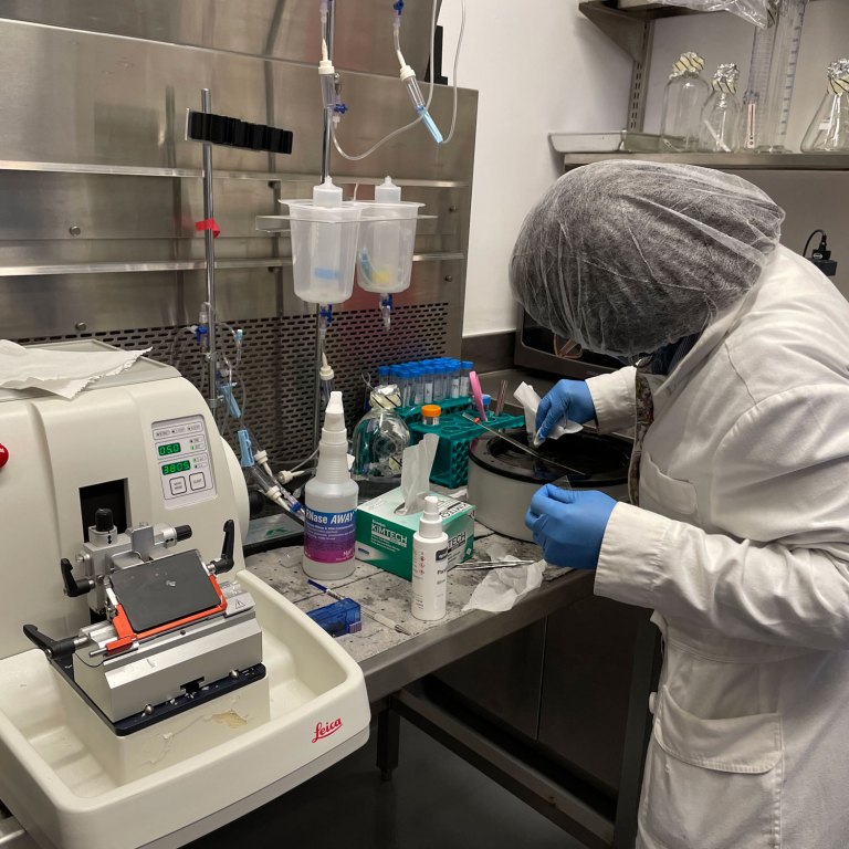 Morgan State Secures $20.9M Grant to Address Urban Health Disparities