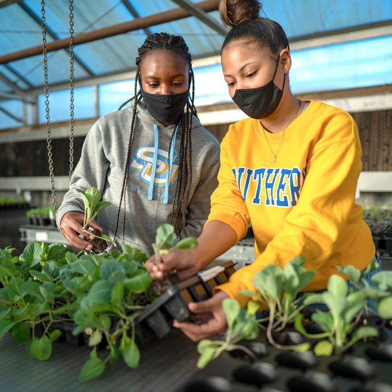 Southern University Launches New Disaster Education Resource