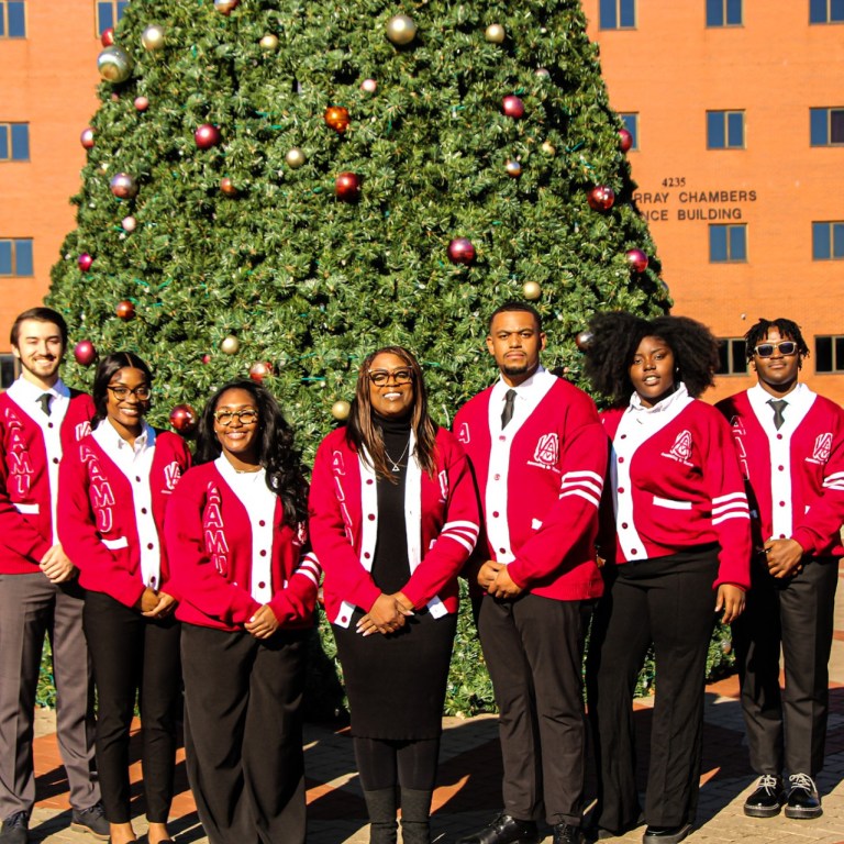 Alabama A&M NABA members