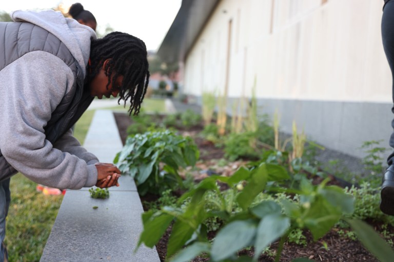 HBCU Garden Club Fights Food Insecurity Through “Foodscaping”