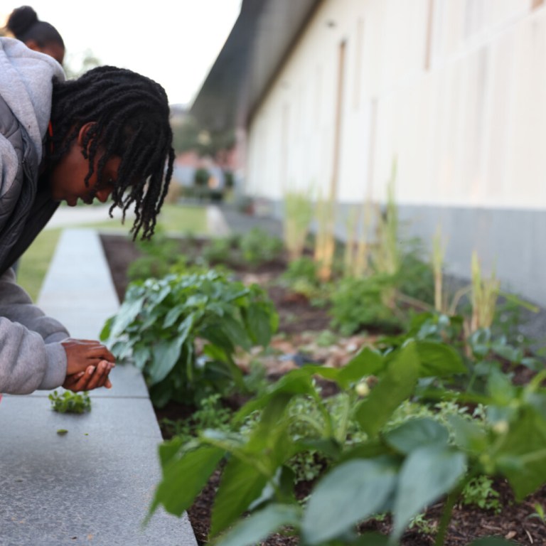 HBCU Garden Club Fights Food Insecurity Through “Foodscaping”