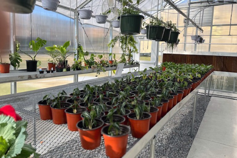 HBCU Launches Greenhouse for Enhanced STEM Education and Research